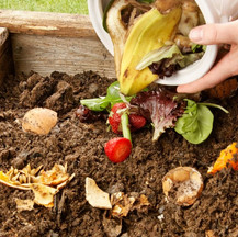 bio gas, waste system, bio digester