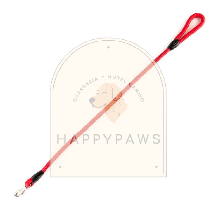 Miniatura: CORREAS PARA PERROS