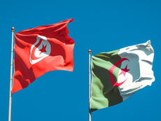 الجزائر و تونس :احتفال مشترك بذكرى اول نوفمبر يوثق عمق الأخوة