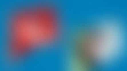 الجزائر و تونس :احتفال مشترك بذكرى اول نوفمبر يوثق عمق الأخوة