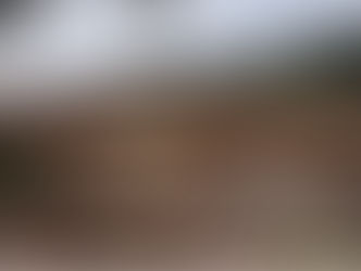 اكتشاف موقع أثري جديد في جبل السلوم يكشف عن تاريخ اقتصادي وثقافي هام