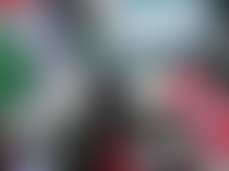 انطلاق قافلة الصمود من تونس لكسر الحصار عن غزة