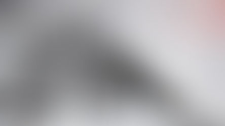 زلزال كامتشاتكا : حينما اهتزت الأرض و تحولت الساحل إلى جبهات المقاومة الطوفان