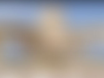 دار شعبان الفهري تنقش التاريخ على الحجارة، إرث يواجه خطر الإندثار