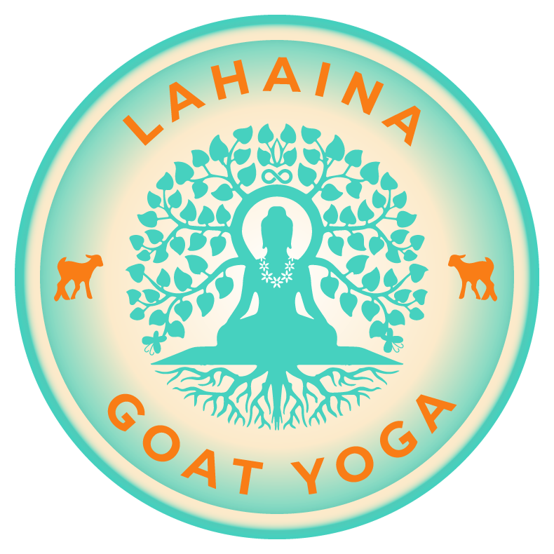 Photo of Lahaina Goat Yoga Maui