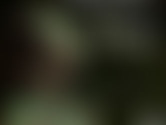 Como me preparar para repetir as 4 frases?