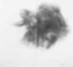 The_Graces_Redefined_Schnall_Gutierrez_rumovf_edited_edited_edited_edited