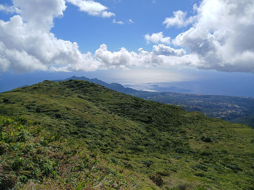 Montée de la Soufrière