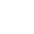 Hope In A Star-Doodles_Stars-White.png