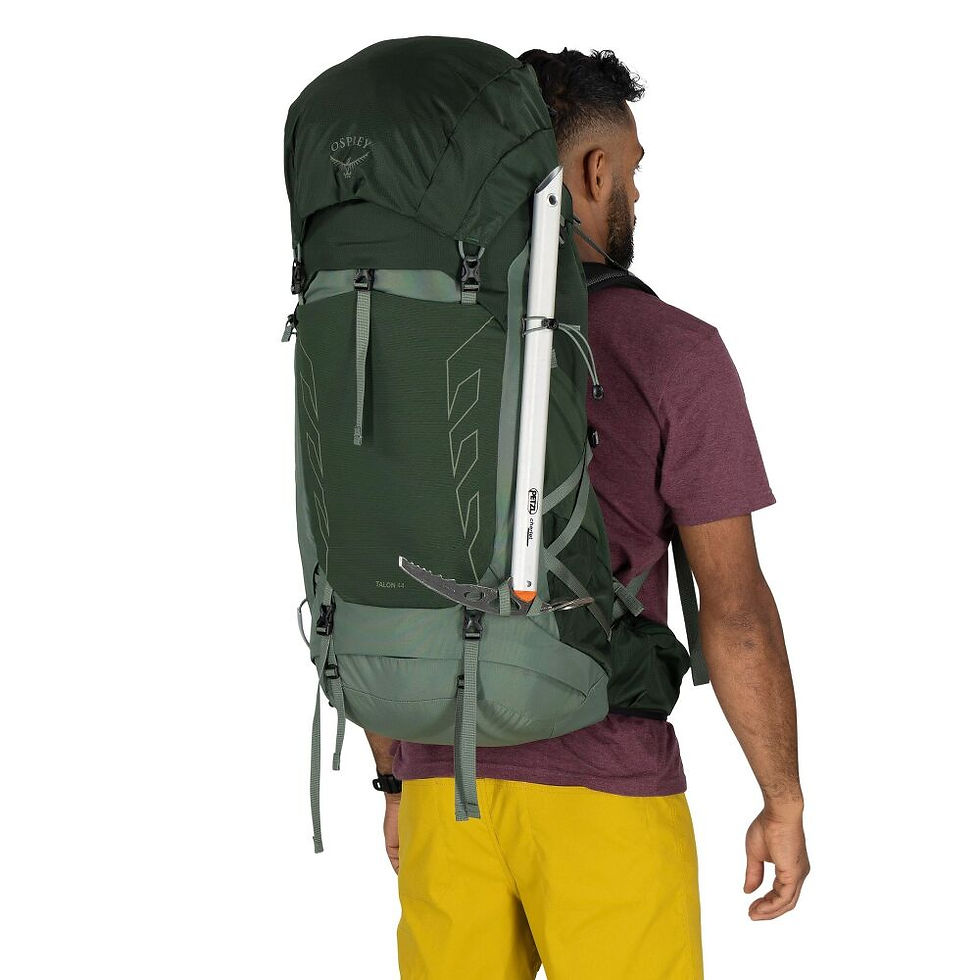 Thumbnail: OSPREY TALON™ 44 DAY HIKING BACKPACK
