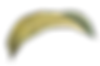 liść
