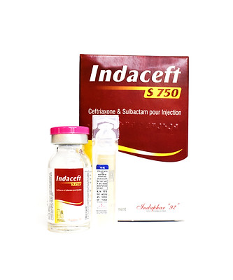 indaceft s750_edited.jpg