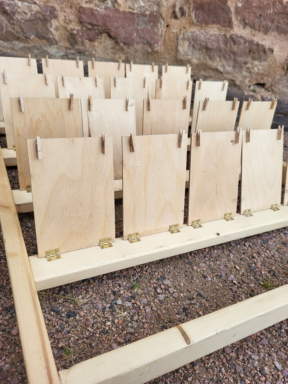 Hochzeitsspiele | Who is Who