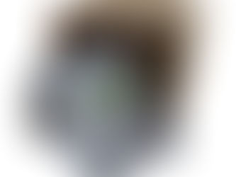 We’re Different – Here’s Why