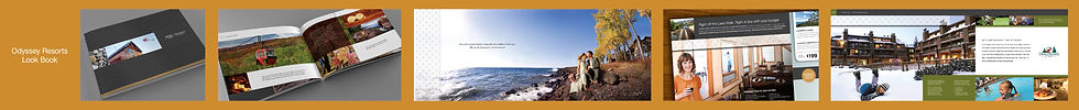 Strings _Brand_Comm-ODY_edited.jpg