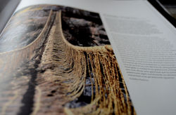 Catalog book of contemporary art