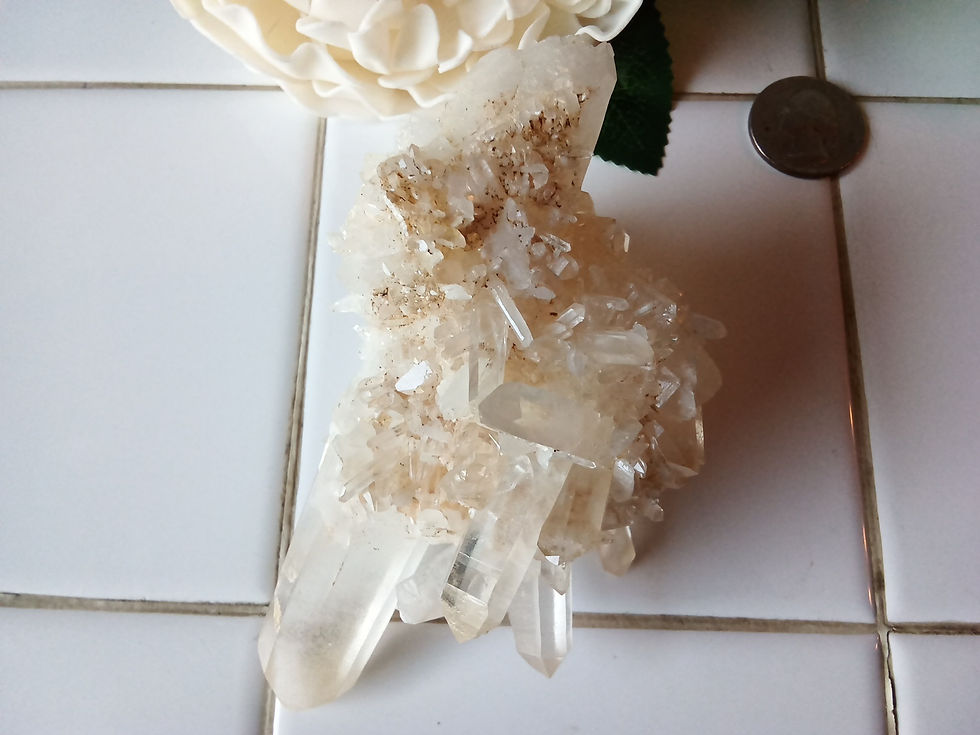 Thumbnail: Clear Quartz Point Cluster  - Multi Points