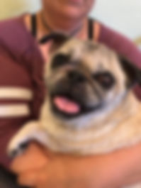 file-11.jpeg