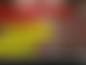 L’Avenir Politique en France ?