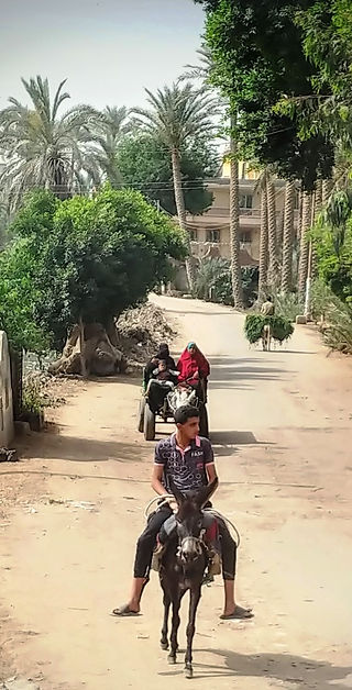 Grab yourself a ride