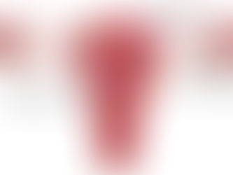 Miomas Uterinos - Quando se Preocupar e Como o Ultrassom Ajuda no Diagnóstico e Tratamento.