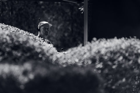 220917BitBuyCommercial9227.jpg