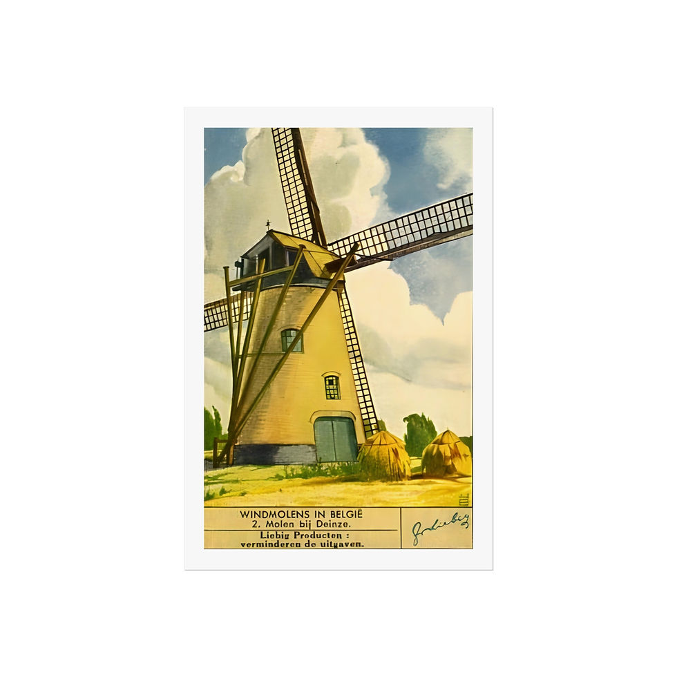 Thumbnail: Belgian Windmill - Fine Art Posters