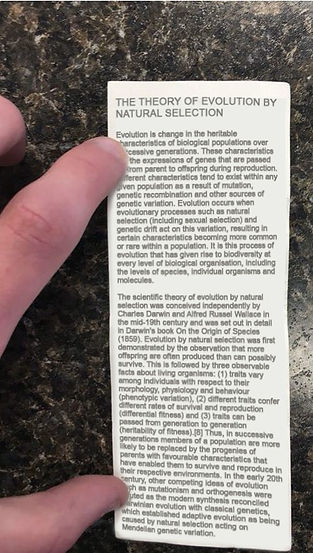 Church annoyed after '$20 donation' turned out to be lecture on Evolution. 2 Church annoyed after '$20 donation' turned out to be lecture on Evolution.