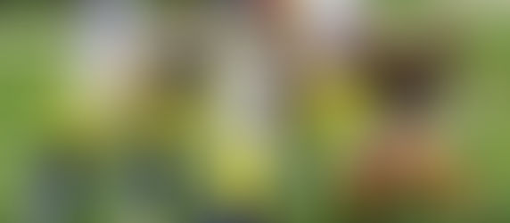 Cincinnati Bengals lost because they didn't pray hard enough, says God. 