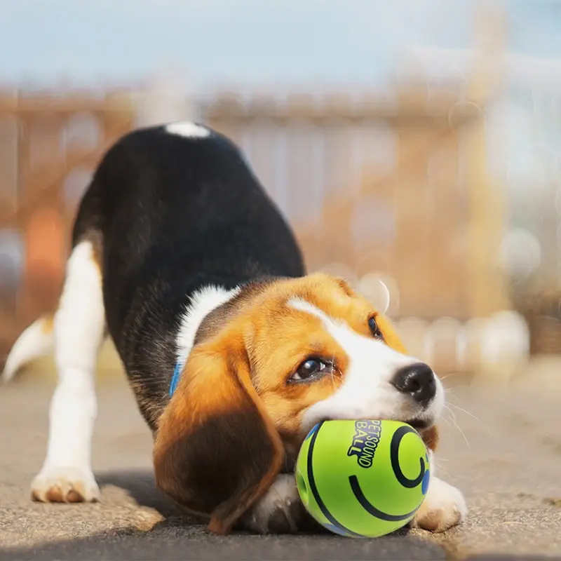 Thumbnail: New Interactive Dog Attention Toy Fun Giggle Sounds Ball When for Pet Dog Fun
