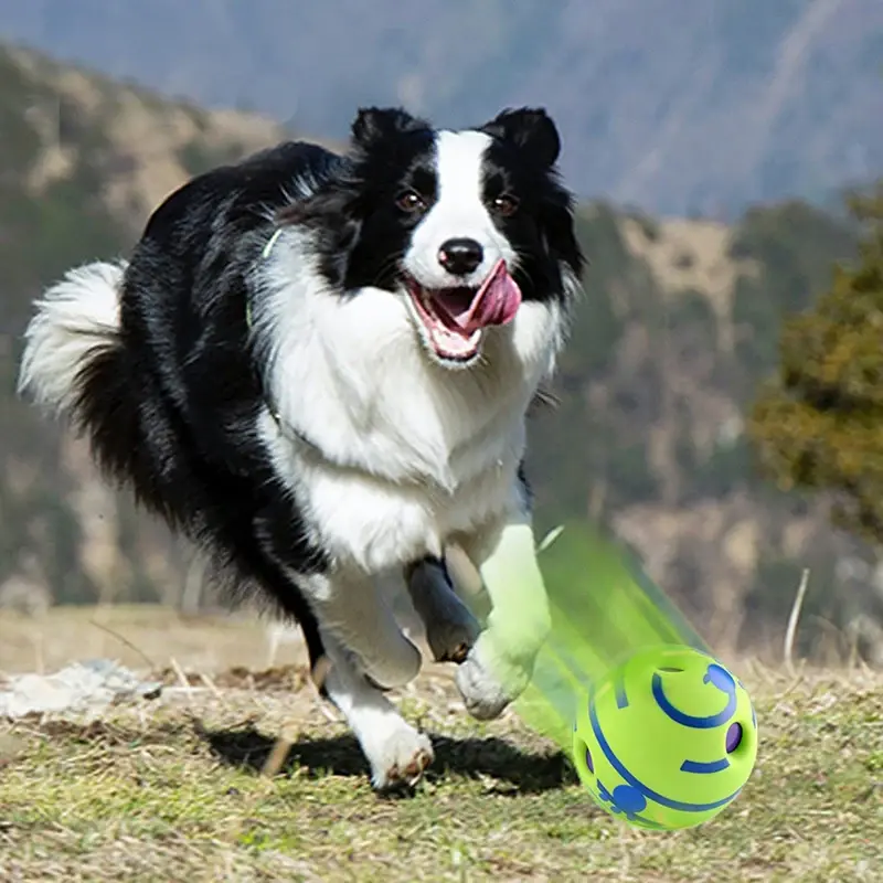 Thumbnail: New Interactive Dog Attention Toy Fun Giggle Sounds Ball When for Pet Dog Fun