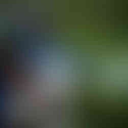 volkswagen + liter of light