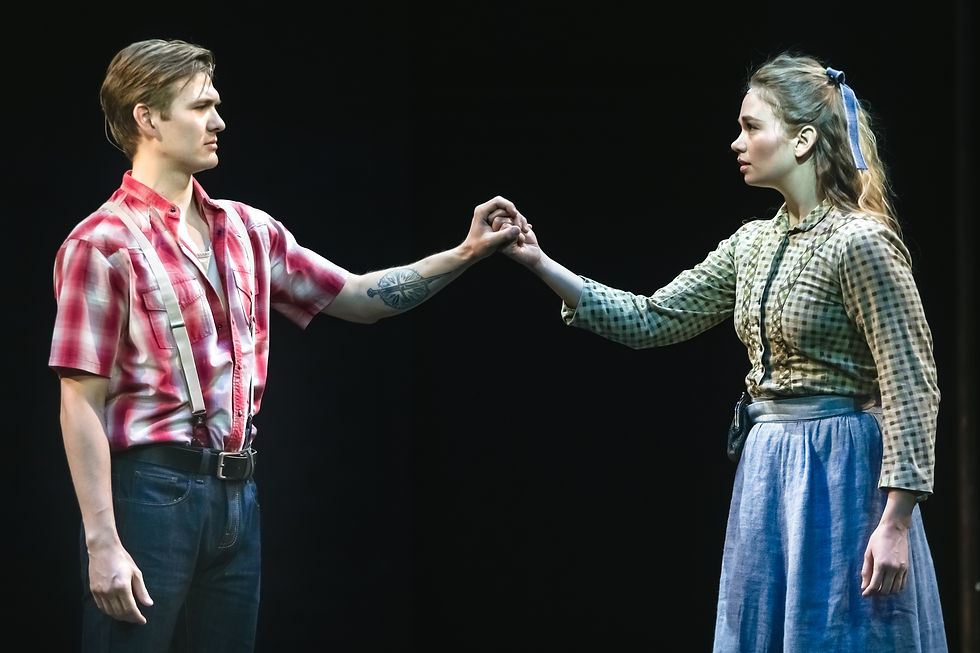 © Craig Fuller Photography