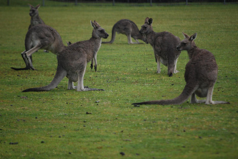 The Grampians National Park