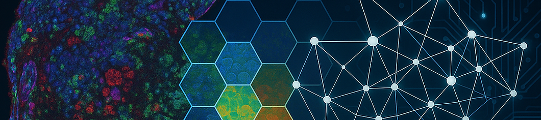 AI-Powered Cancer Research Visualization copy.png