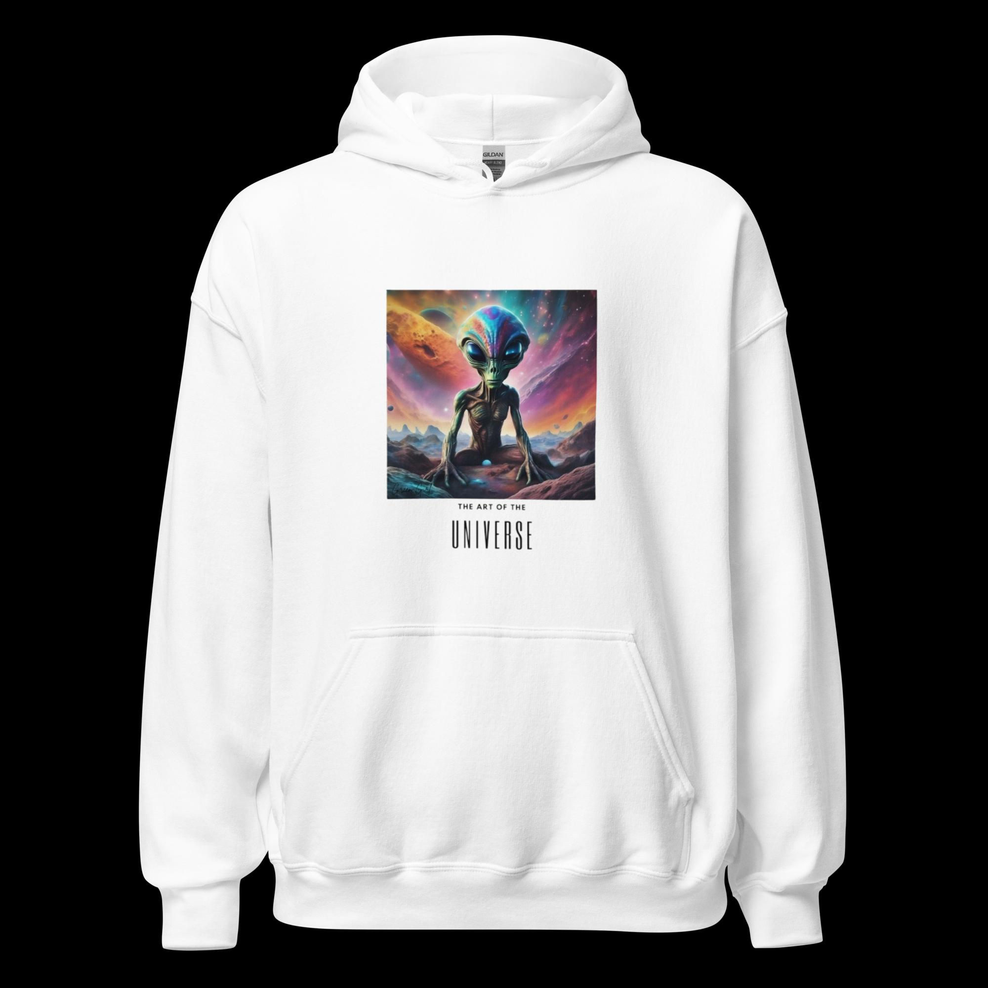 The Art of the Universe