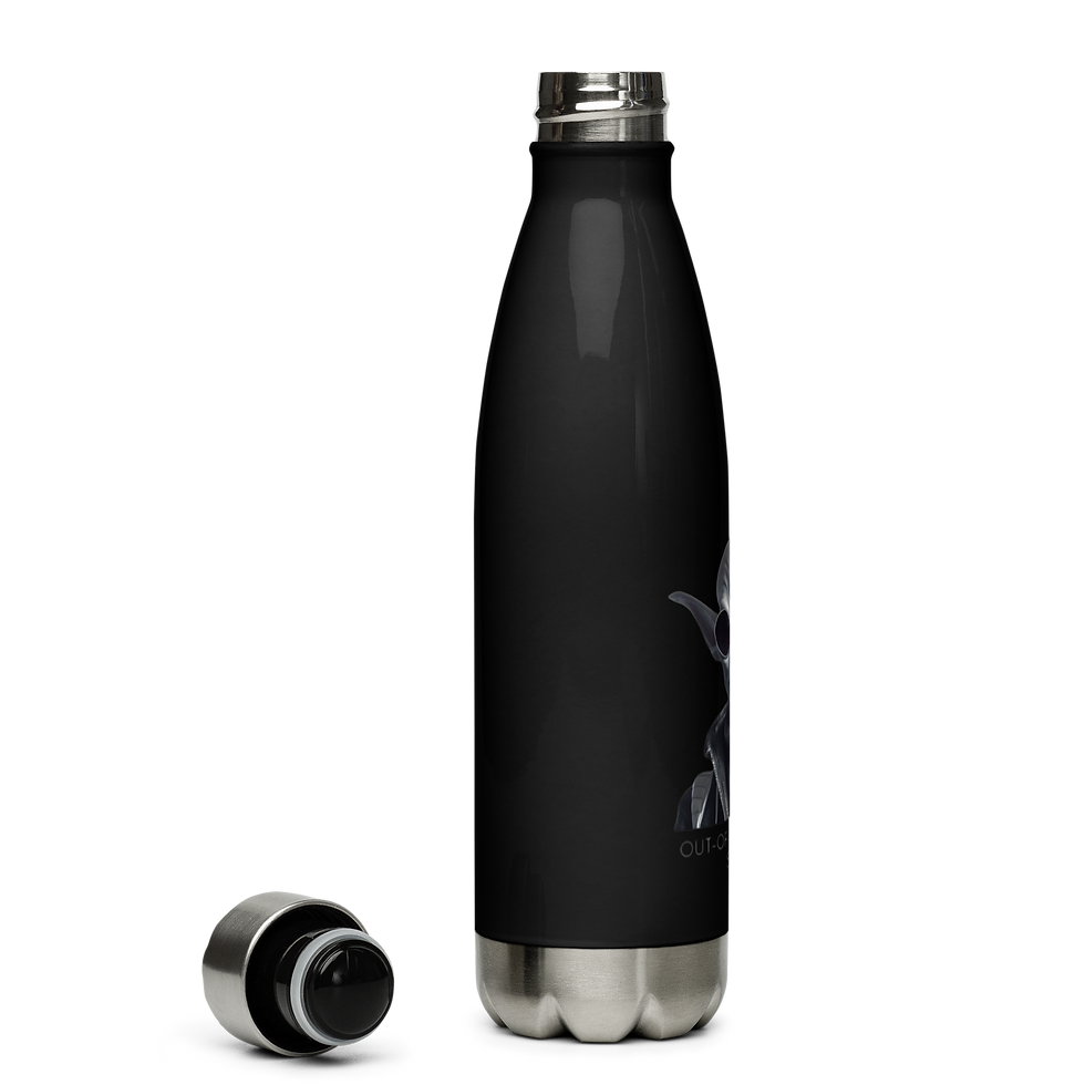 Thumbnail: Zenith Stainless steel water bottle
