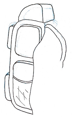 IMG-4821 copy.jpg