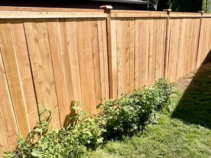 Best Fence Types for Pacific Northwest Homes