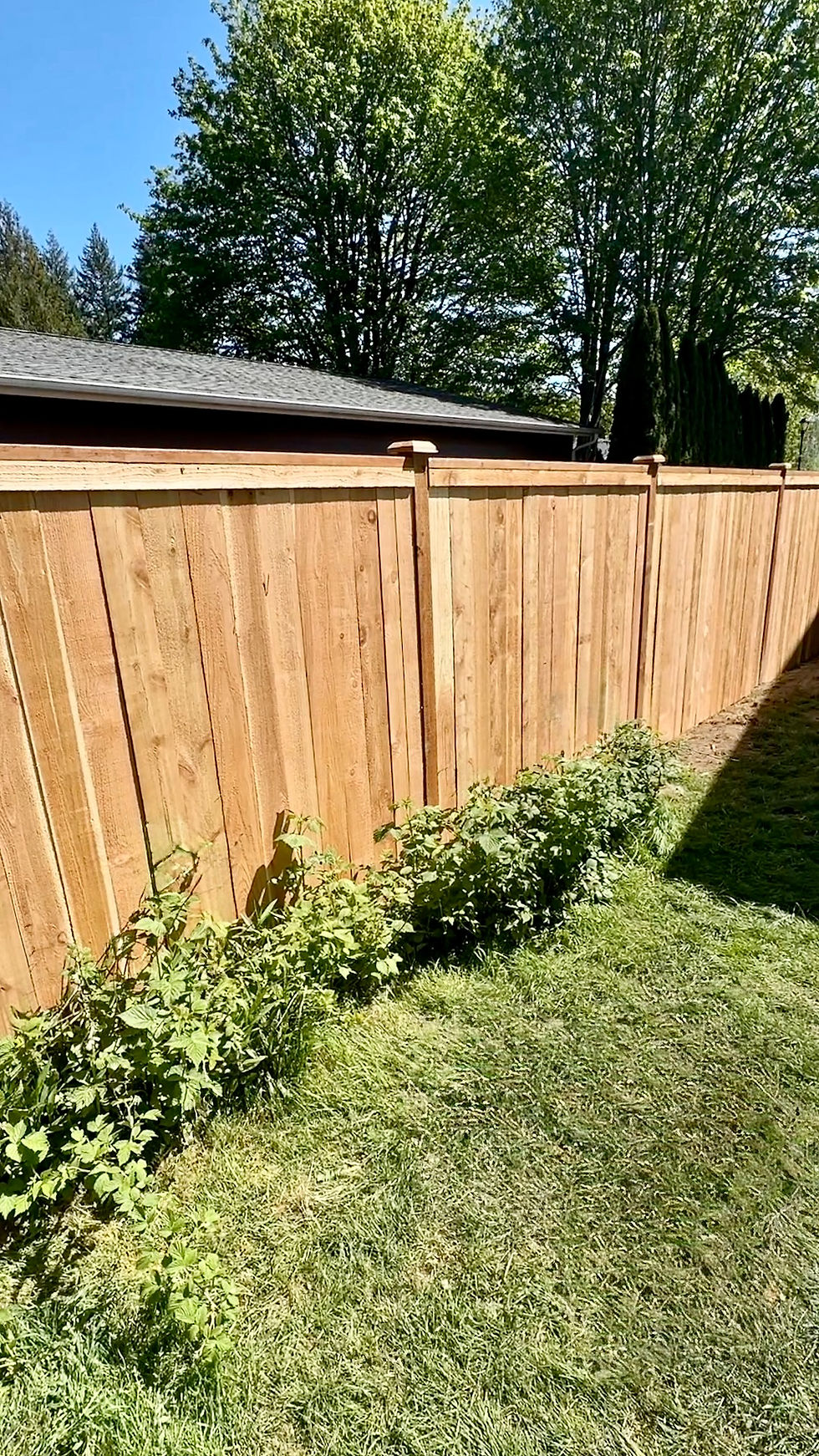 Best Fence Types for Pacific Northwest Homes