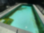 A pool that had chronically low water, resulting in zero filtration, circulation, & sanitation, and eventually developed a bad Black Algae infestation.