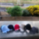 IMG_3160.jpeg
