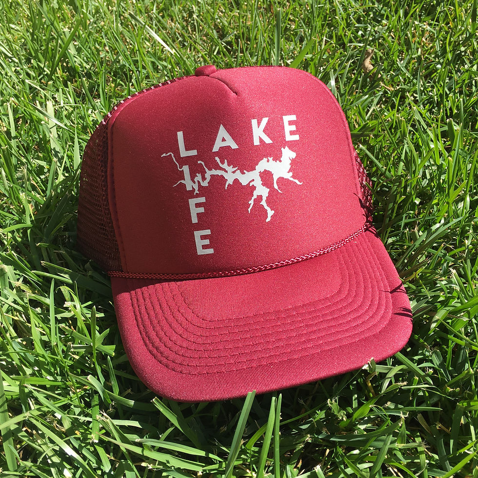 Thumbnail: LAKE LIFE (block)