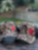 IMG_6109.jpeg