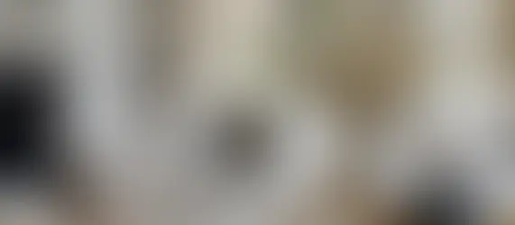 5 Ways Alba Contreras Design Can Help You Elevate Your Design Vision