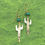 Thumbnail: Sterling Silver and Gold Turquoise CactusEarrings