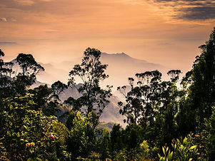 Kodaikanal-tempotraveler-Keralatourism-