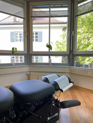 Was ist amerikanische Chiropraktik?