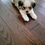 Thumbnail: Maverick - Shih-Poo - Congratulations Sherry in Fort Gratiot MI