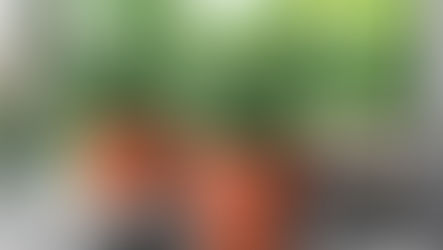 Muda Grande De Alecrim